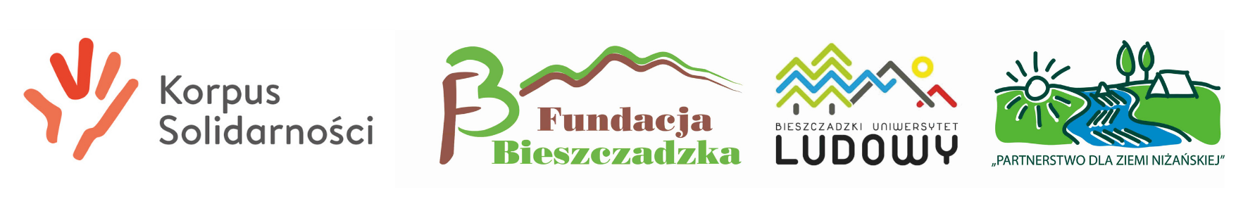 Szkolenie koordynatorów wolontariatu  z terenu Podkarpacia w nowym terminie